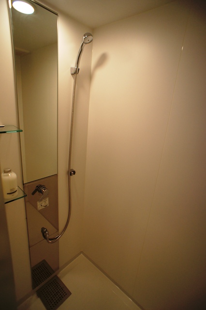 シャワールームはシンプルなタイプ。天井からお湯が降り注ぐレインシャワーにしようとか盛り上がりましたがこれに落ち着きました。